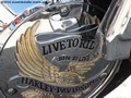 Harley Davidson Bikes